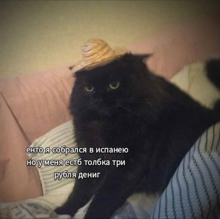 просветите, кто сейчас популярный, какие темы, какие мемы. а то я же и...