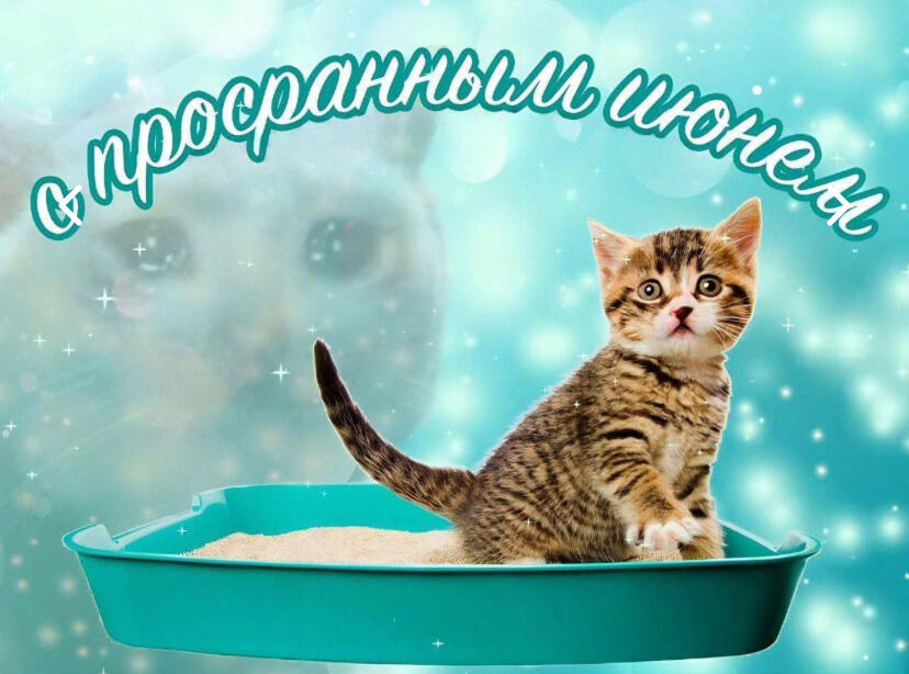 …