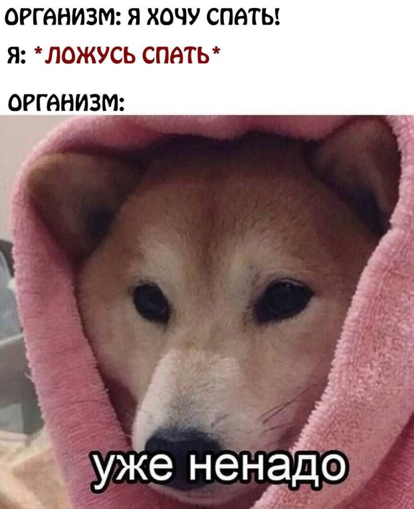 Мини сборничек мемов.