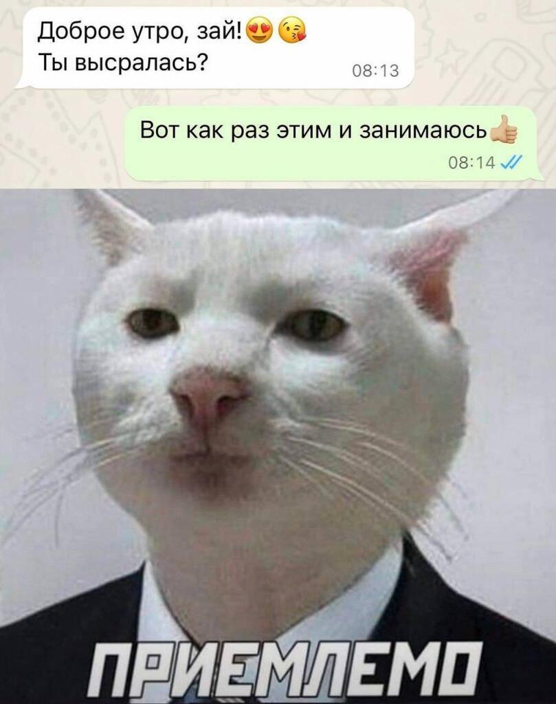 Приемлемо.
