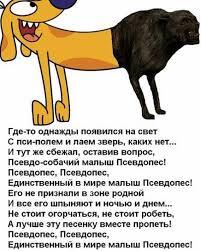 Мем от Сталкер[культ сталкеров]