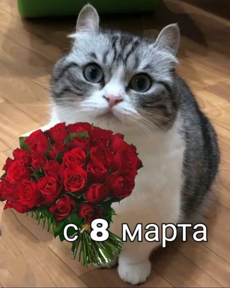 с 8 мартом, дорогие девчонки)
С прекрасным вас праздником весны и красоты 🌸