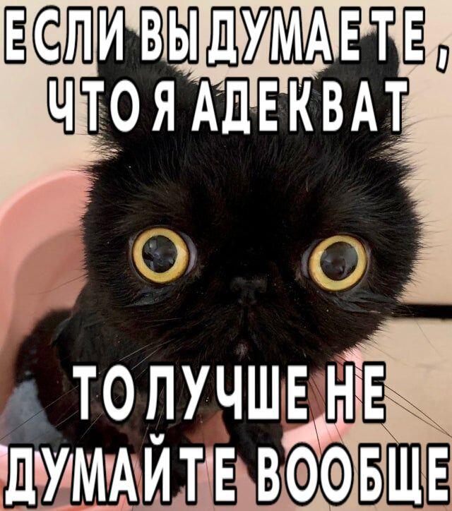 Правду говорит