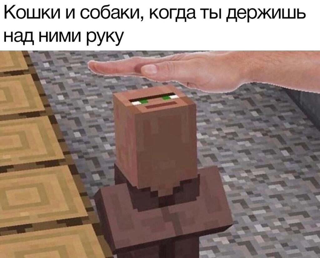 Мем без подписи