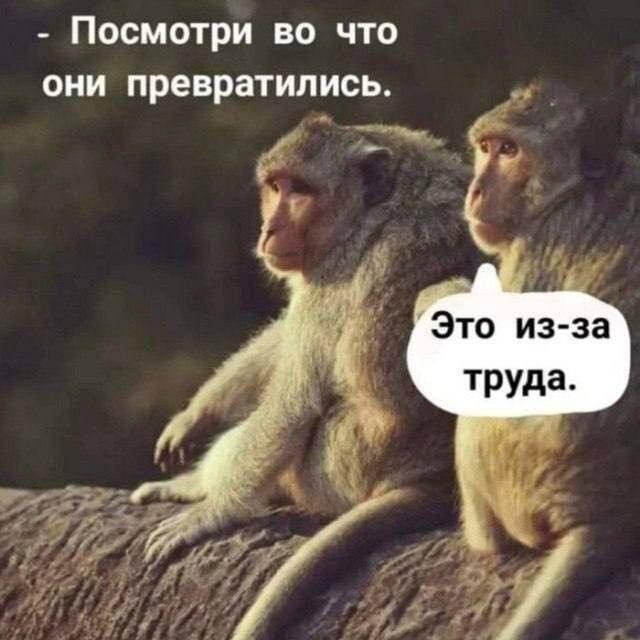Мем без подписи