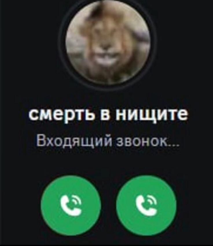 Мем от z cjnhe ct,z bp buhs [NOT PLM]