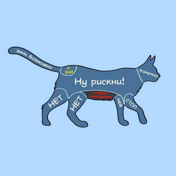 Мем от z cjnhe ct,z bp buhs [NOT PLM]