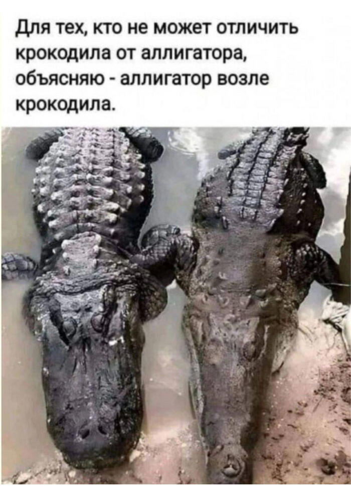 Мем от Джус