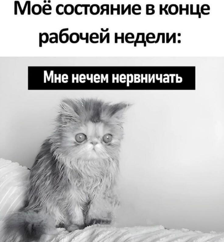 Мем без подписи