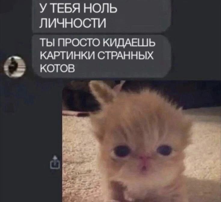 Мееееемы про кооооотиков