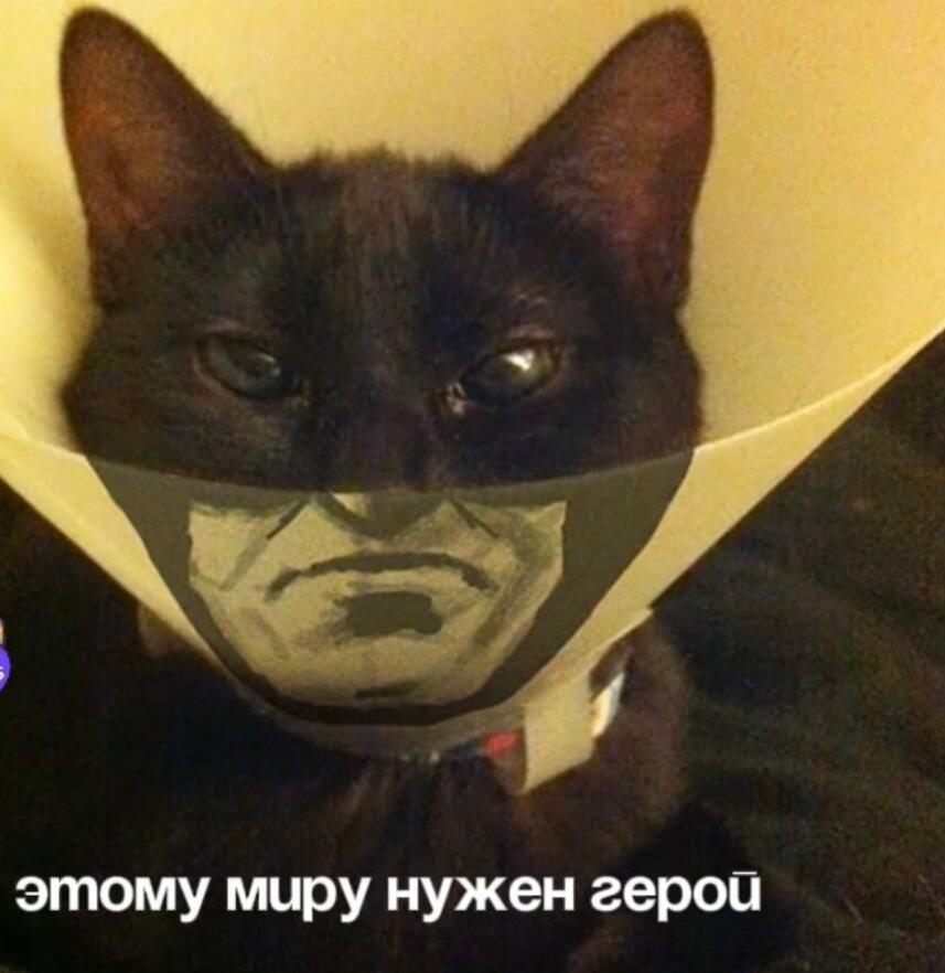 Мем от Meme Creator