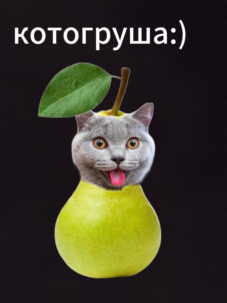 КотоГруша
