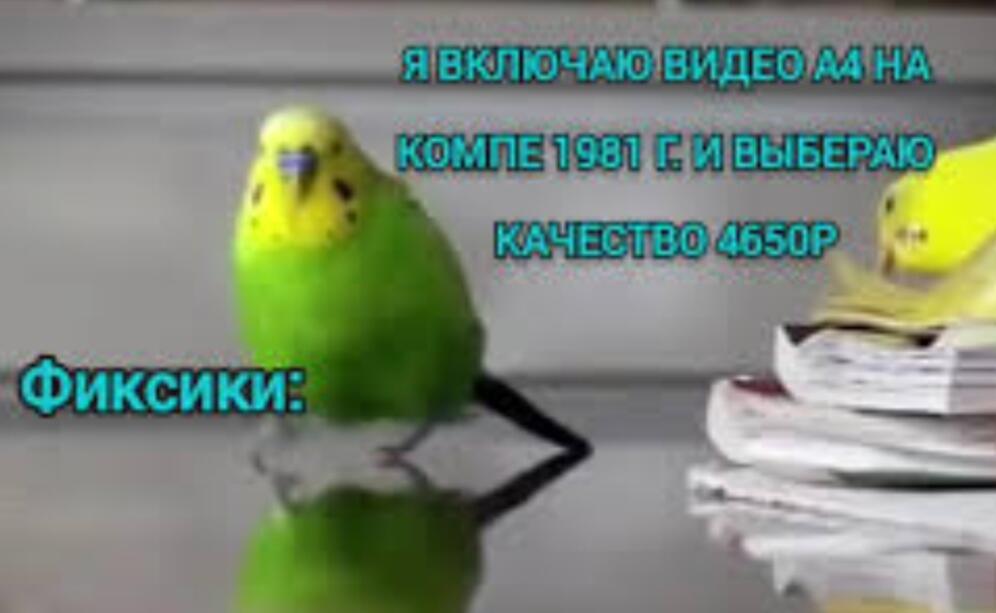 1 вопрос, а как вообще запустился?