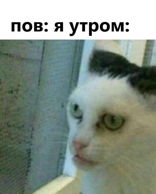 Мем без подписи