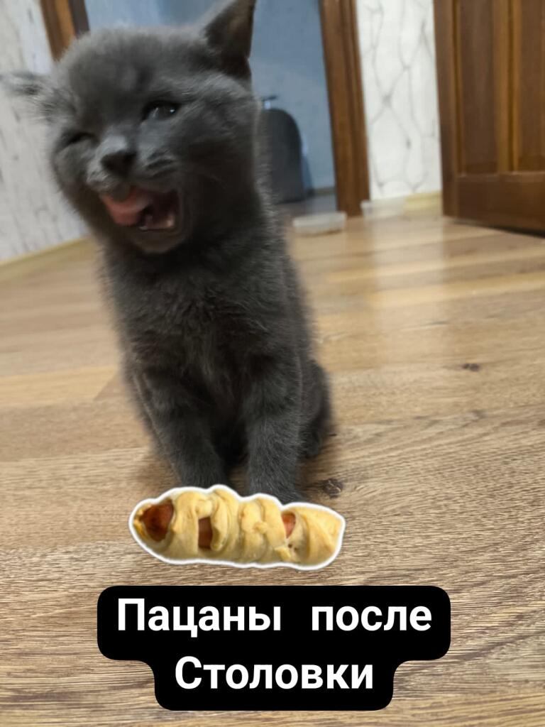 Мем от Srego