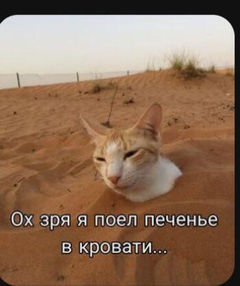 поел чипсы на кровати: