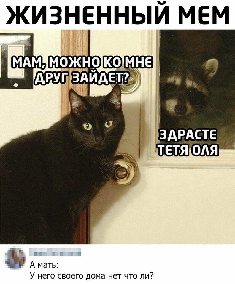 Жиза
