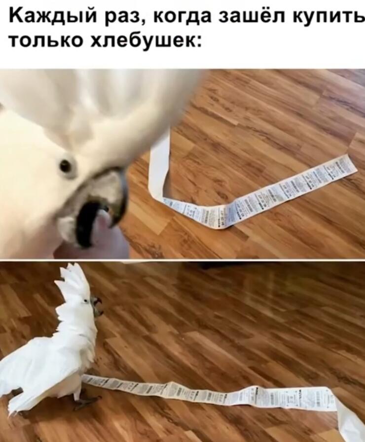 Выяснилось что хлебушек никто так и не купил..
