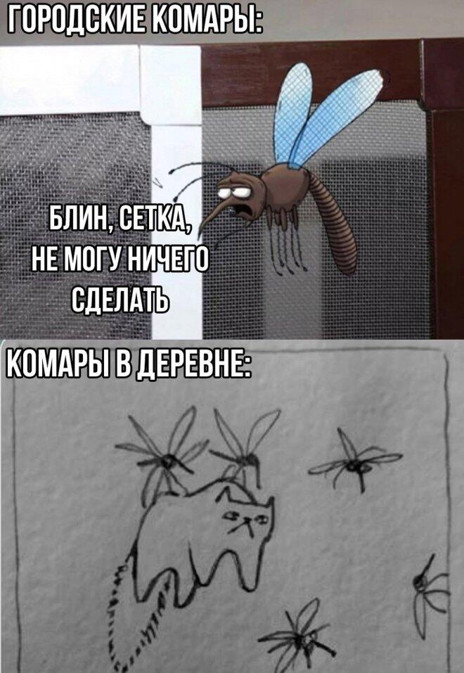 Мем без подписи