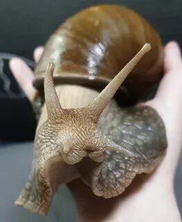 Какая няшка ;)