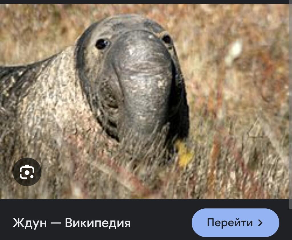Просвещайтесь: ждун есть в реальной жизни