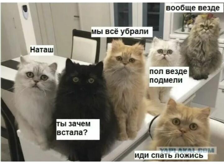 Мечты Наташи