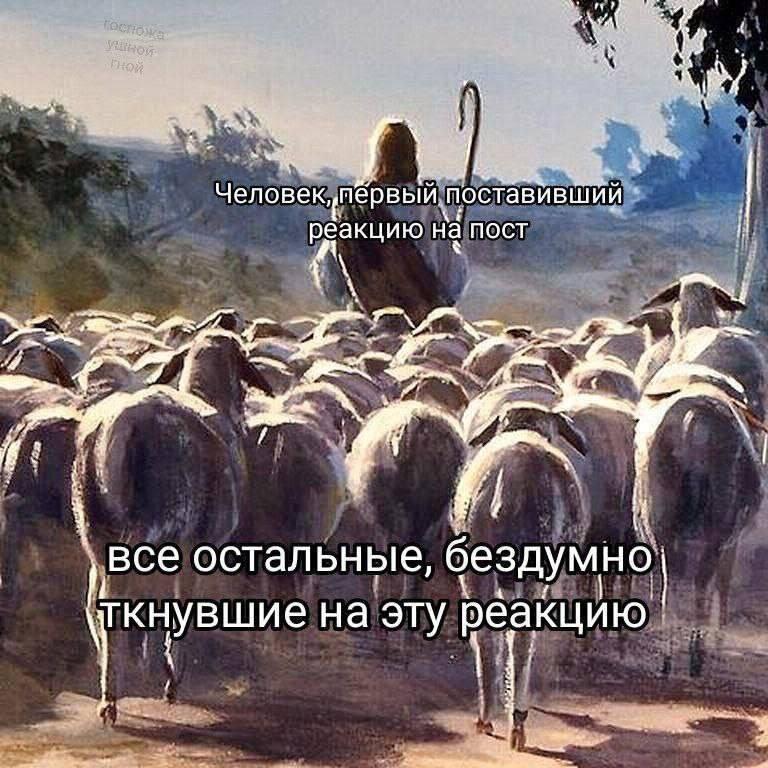 Мем без подписи