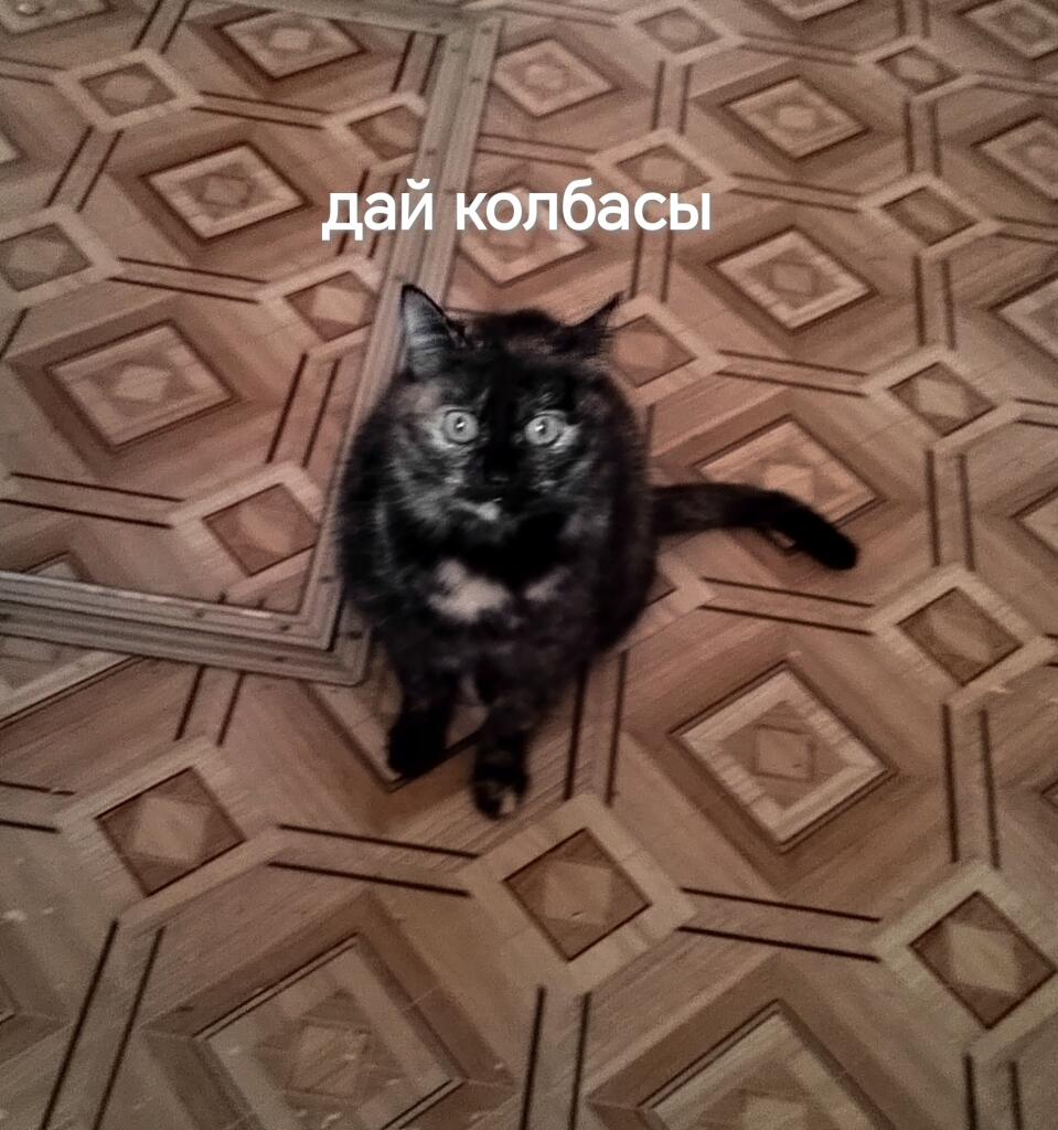 Ну блин этот взгляд