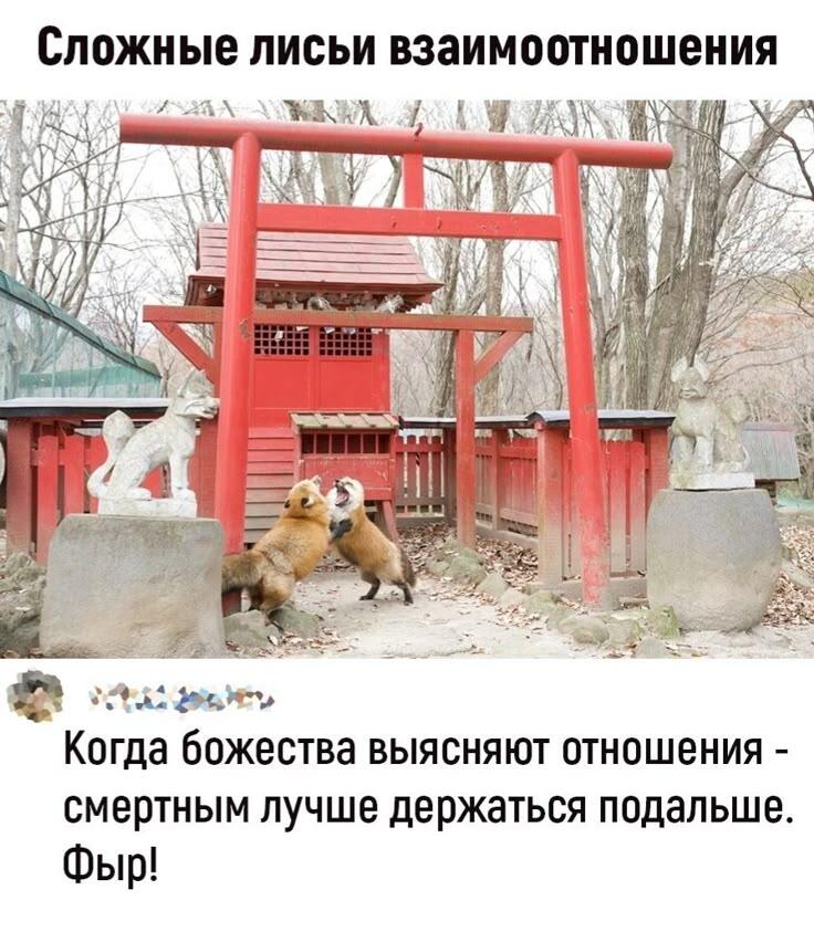 Вот реальная битва богов!