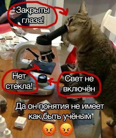 ай-ай-ай!
