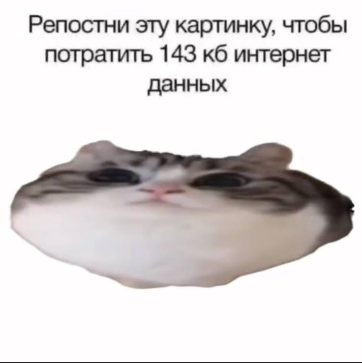 Мем от db