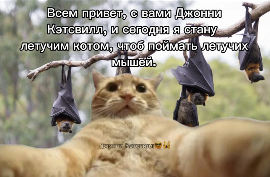 Джонни Кэтсвилл