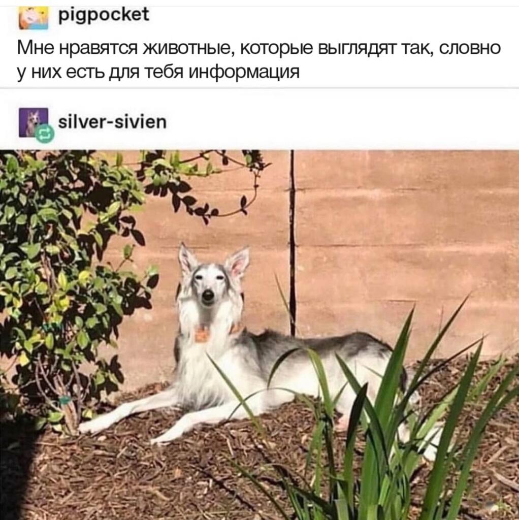 Подойди, путник, я должен рассказать тебе о пути, что ждёт тебя дальше
