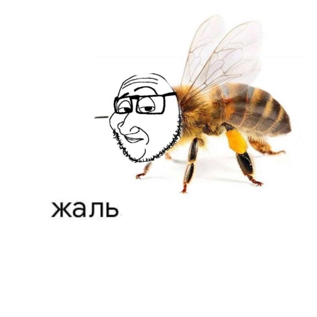 Мем без подписи