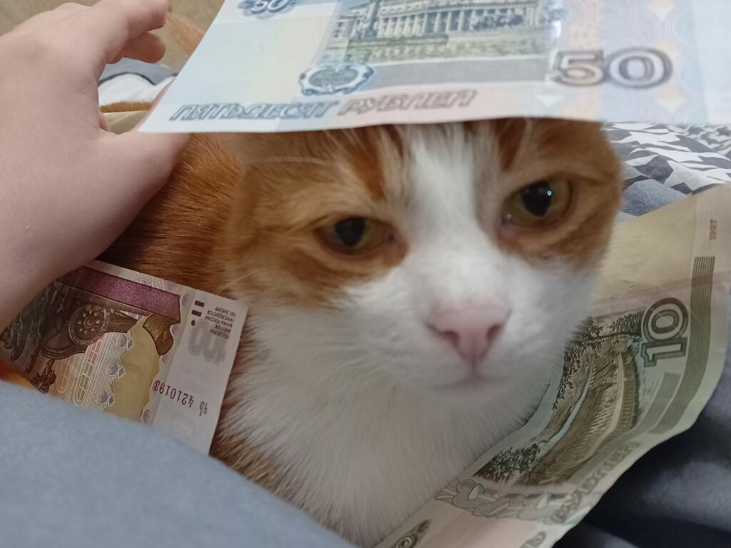 Когда мама сказала оставь сдачу себе