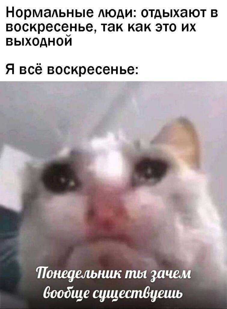 *рыдает*, опять в школу(⁠｡⁠ŏ⁠﹏⁠ŏ⁠)