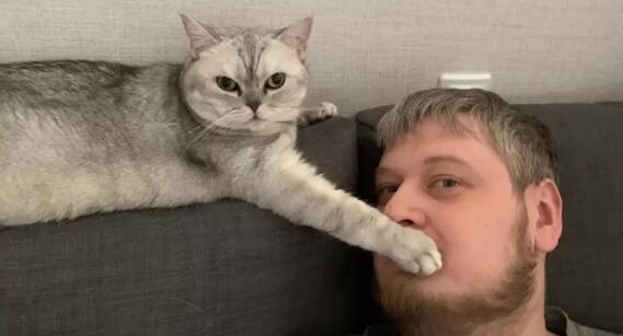 Алексей Сова