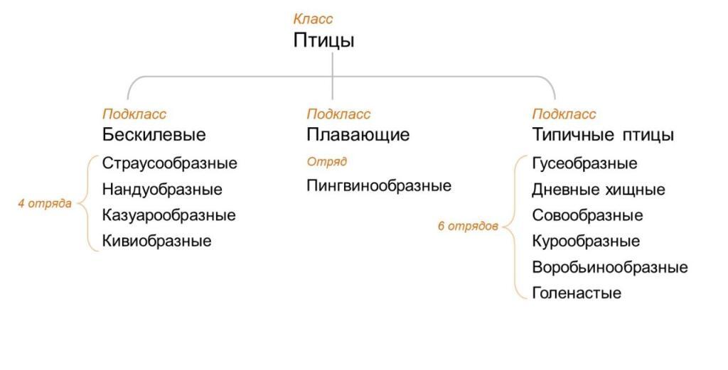 надо было что то выложить надо