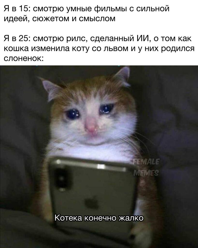 Мем без подписи