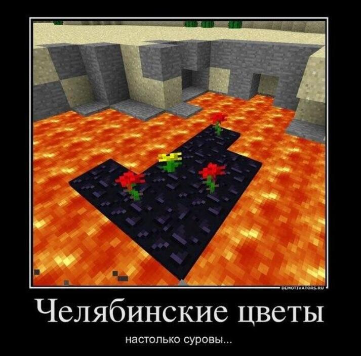 Челябинские цветочки...