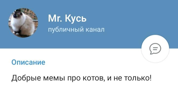 Заходи ко мне в ТГ канал, там будут мемы с котами😺 Ссылка: https://t....