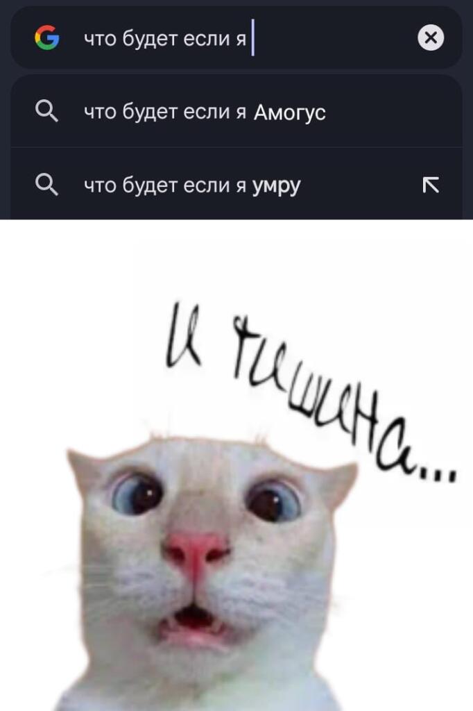 🌚🌚🌚