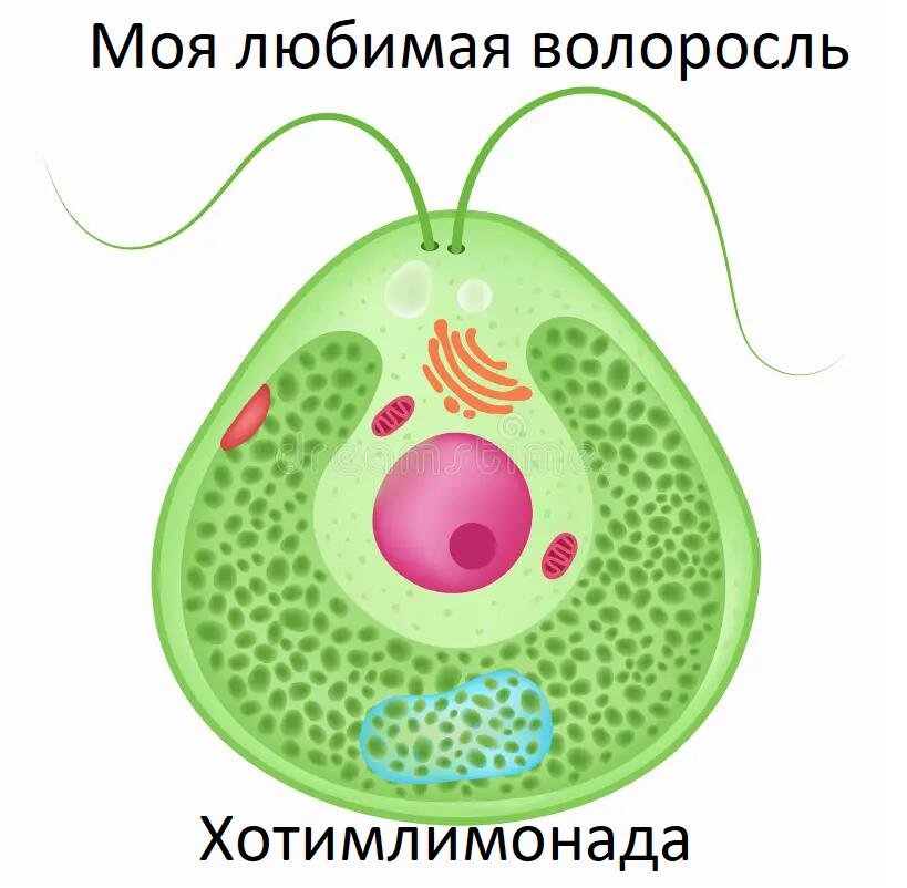 Биология