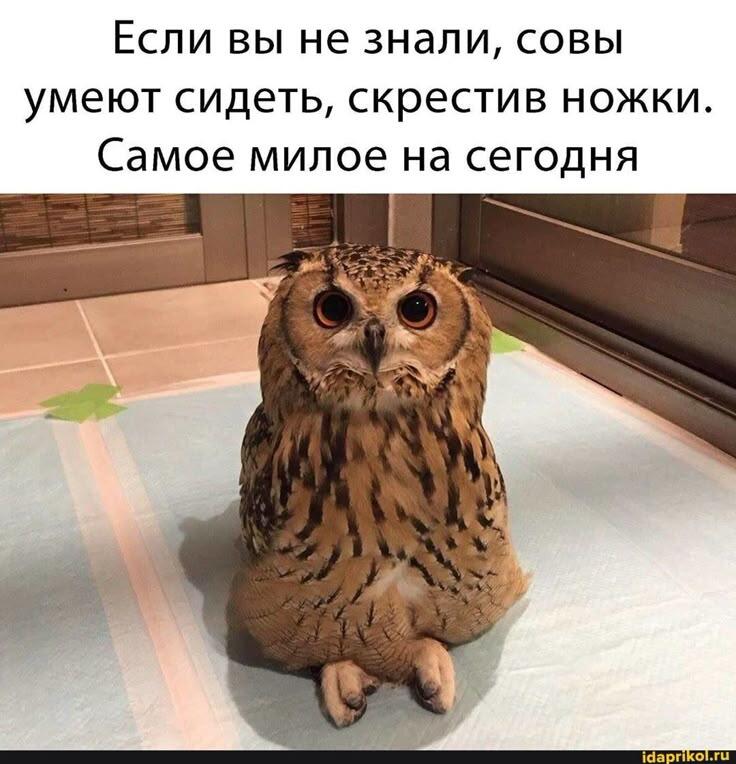 деловая