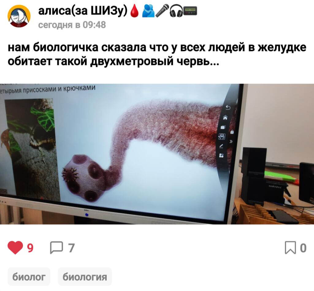 знаете это чувство когда как будто у вас желудок кто-то ест? это червь...