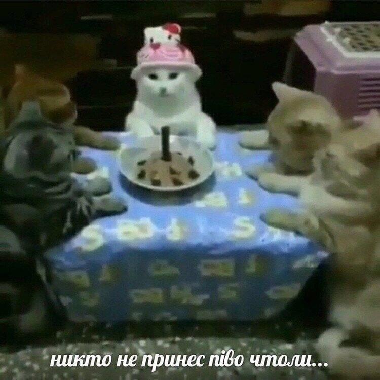 Мем от Forvil🔧
