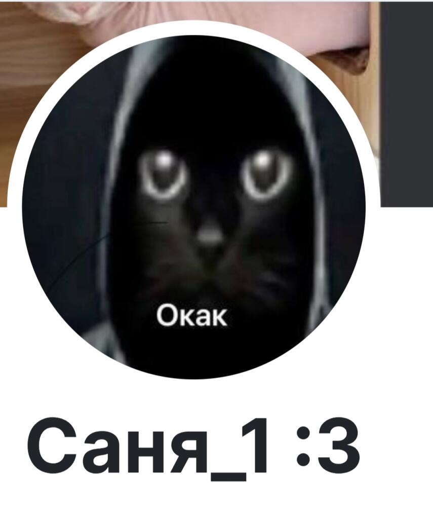Ребят, кого то из вас задолбал этот пользователь данного сайта? Если да предлогаю сделать следующее: если из вас есть ее