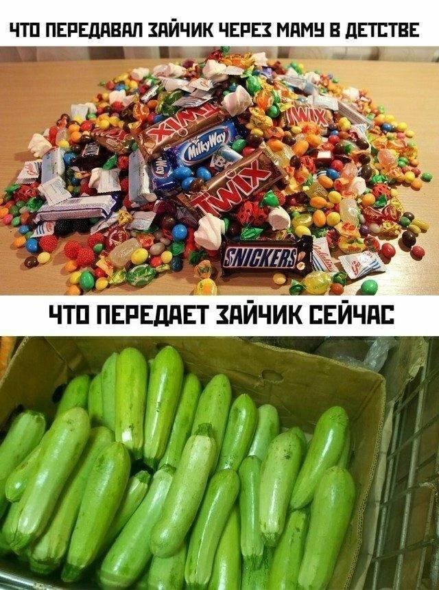 Зайчик в детстве-зайчик сейчас.