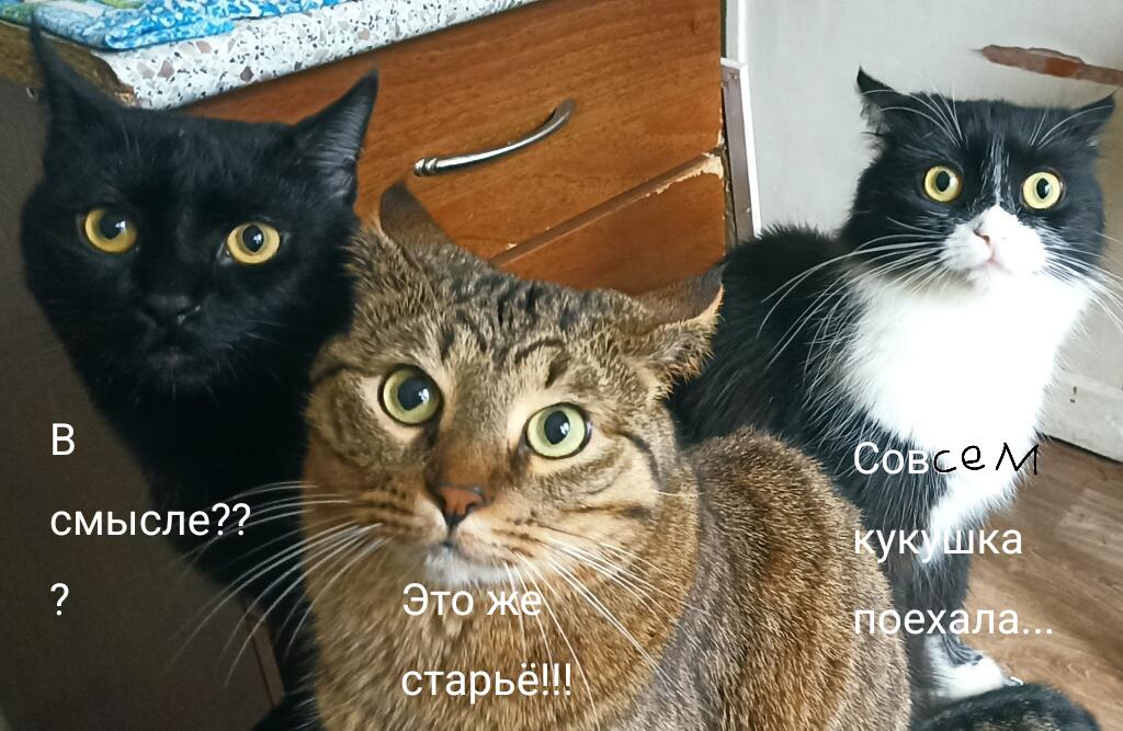 Я: *начинаю играть в undertale и batim*. Одноклассники: