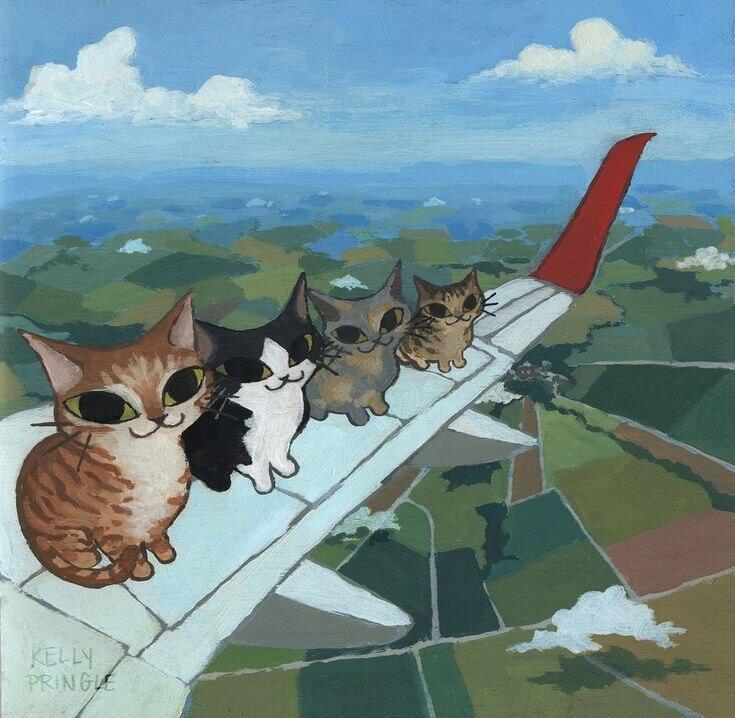 Котики на самолетике